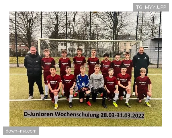 德国足球职业联盟发布《青少年球迷发展白皮书》，关注观赛习惯数字化迁移